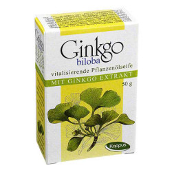 Kappus Ginko Pflanzenölseife (50 g) – PZN 1987706