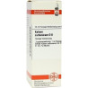 KALIUM CARB D 8, 20 ML – PZN 2615970