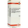 Kalium Bichromicum D 6 Dilution (50 ml) – PZN 2810140