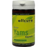 YAMS Kapseln 250 mg Yamspulver, 60 ST – PZN 4020637