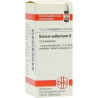 KALIUM SULFURICUM D 4, 10 G – PZN 4223211