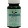 Kreatin 11 A 500, 60 ST – PZN 3081370