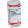 Kreosotum C 6 Globuli (10 g) – PZN 7248080