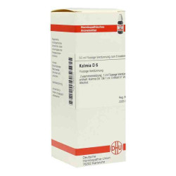 Kalmia D 6 Dilution (50 ml) – PZN 2925771