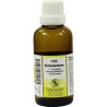 KREOSOTUM F Komplex Nr.102 Dilution, 50 ML – PZN 4484578