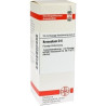KREOSOTUM D 6, 20 ML – PZN 1775944
