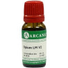 Opium LM 6, 10 ML – PZN 6921652