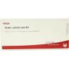OXALIS E PLANTA TOTA D 3, 10X1 ML – PZN 2830349