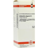 ALCHEMILLA VULG D 2, 50 ML – PZN 7454201