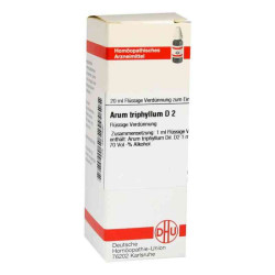 Arum Triphyllum D 2 Dilution (20 ml) – PZN 2607580