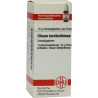 OLEUM TEREBINTHINAE C30, 10 G – PZN 7176015