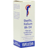 OXALIS FOLIUM RH D 4, 20 ML – PZN 1630364