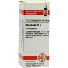 OKOUBAKA D 5, 10 G – PZN 7458676