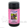 OPC 100% Premium Vegikaps Globalis Violettglas, 60 ST – PZN 7028384
