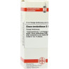 Oleum Terebinthinae D 6 Dilution (20 ml) – PZN 2622898