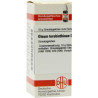 Oleum Terebinthinae D 30 Globuli (10 g) – PZN 7458707