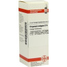 ORIGANUM VULG D 6, 20 ML – PZN 4230429