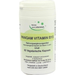 Pangam Vitamin B15, 60 ST – PZN 2164504