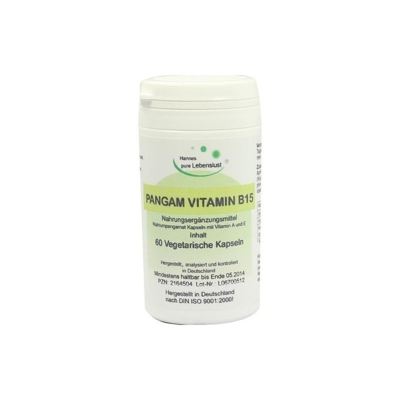 Pangam Vitamin B15, 60 ST – PZN 2164504
