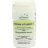 Pangam Vitamin B15, 60 ST – PZN 2164504