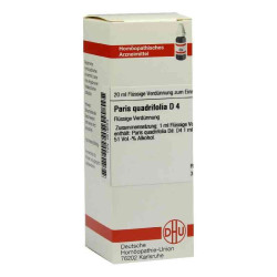 Paris Quadrifolia D 4 Dilution (20 ml) – PZN 2619554