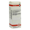Paris Quadrifolia D 4 Dilution (20 ml) – PZN 2619554