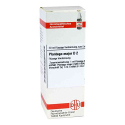 Plantago Major D 2 Dilution (20 ml) – PZN 2124054