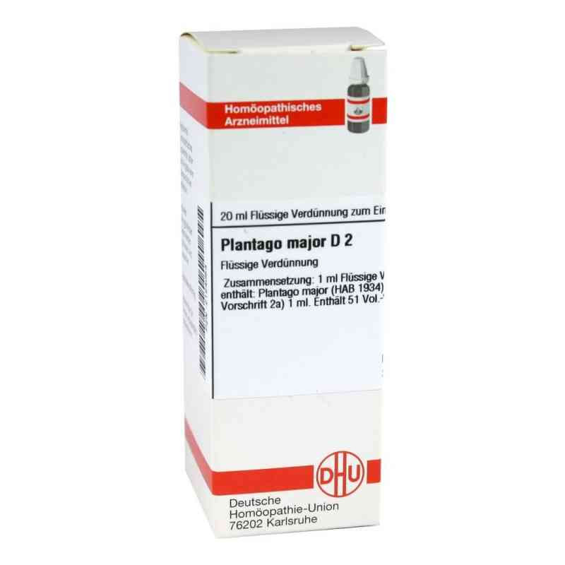 Plantago Major D 2 Dilution (20 ml) – PZN 2124054