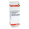 Plantago Major D 2 Dilution (20 ml) – PZN 2124054