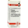 PLATINUM MET C12, 10 G – PZN 7596711