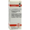 PYROGENIUM D15, 10 G – PZN 7178333