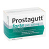 Prostagutt forte 160/120mg (120 stk) – PZN 3530193