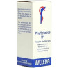 Phytolacca D1, 20 ML – PZN 7067183