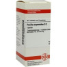 Perilla Ocymoides D 2 Tabletten (80 stk) – PZN 7458966
