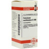 Petroleum Rectif. D 200 Globuli (10 g) – PZN 4231156