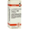 PROPOLIS C1000, 10 G – PZN 7249234