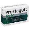 Prostagutt forte 160/120mg (60 stk) – PZN 3530141