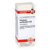 Petroleum Rectif. D 30 Globuli (10 g) – PZN 4231133