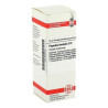 Populus Tremula D 2 Dilution (20 ml) – PZN 2620149