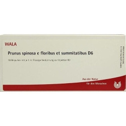 PRUNUS SPI E FLO ET SU D 6, 10X1 ML – PZN 2830355