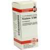 Phosphorus D 1000 Globuli (10 g) – PZN 7177049