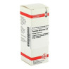 Paeonia Officin. D 2 Dilution (20 ml) – PZN 2619382