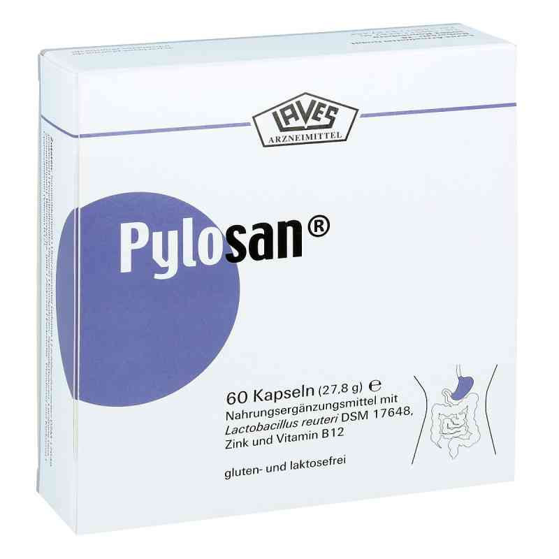 Pylosan Kapseln (60 stk) – PZN 12416898