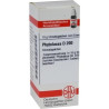 PHYTOLACCA D200, 10 G – PZN 7177144