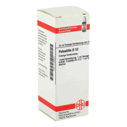 Pulsatilla D 12 Dilution (20 ml) – PZN 2104554