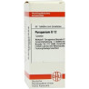 PYROGENIUM D12, 80 ST – PZN 2929970
