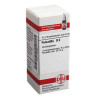 Pulsatilla D 6 Globuli (10 g) – PZN 1782938
