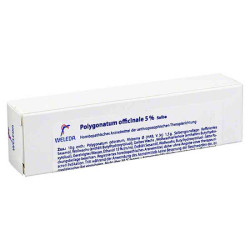 Polygonatum Officinale 5% Salbe (25 g) – PZN 1628309