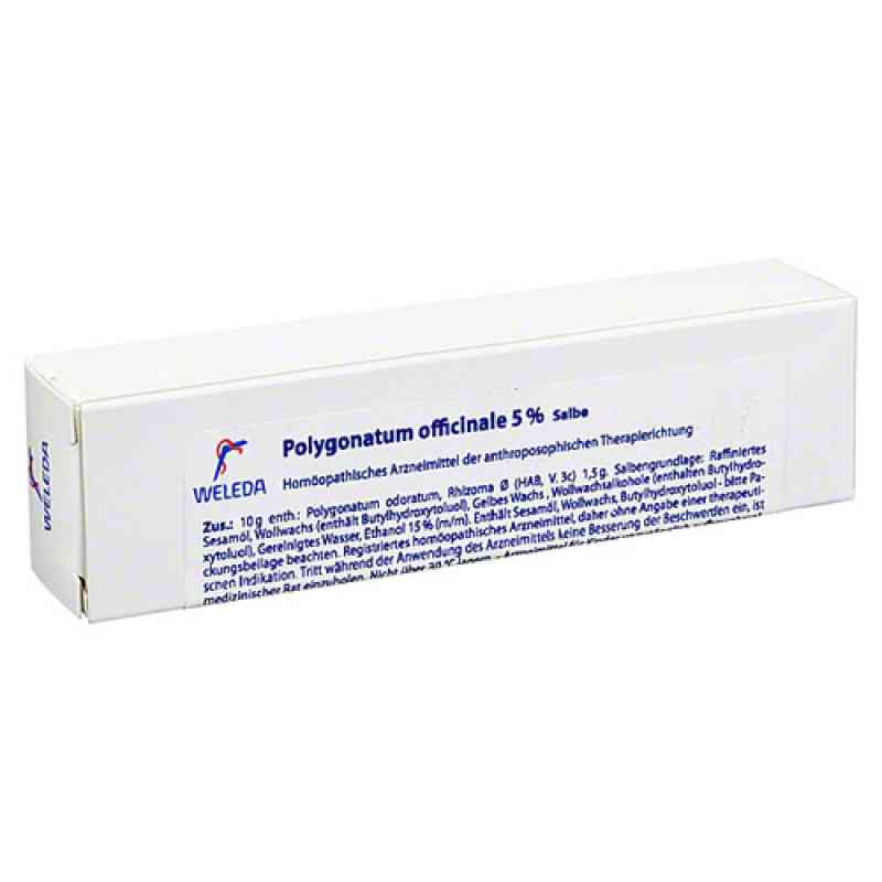 Polygonatum Officinale 5% Salbe (25 g) – PZN 1628309