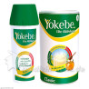 YOKEBE Classic Pulver Starterpaket, 500 G – PZN 7610641